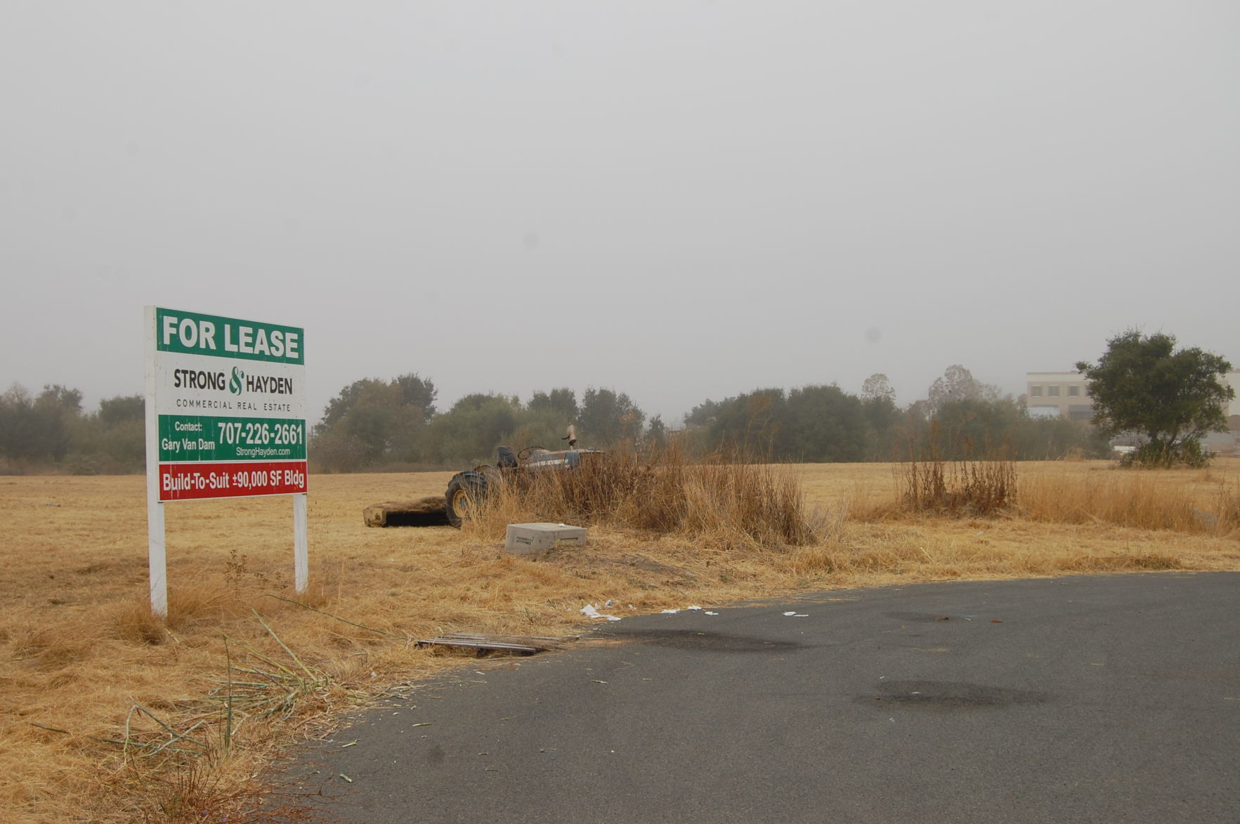 speculative winery